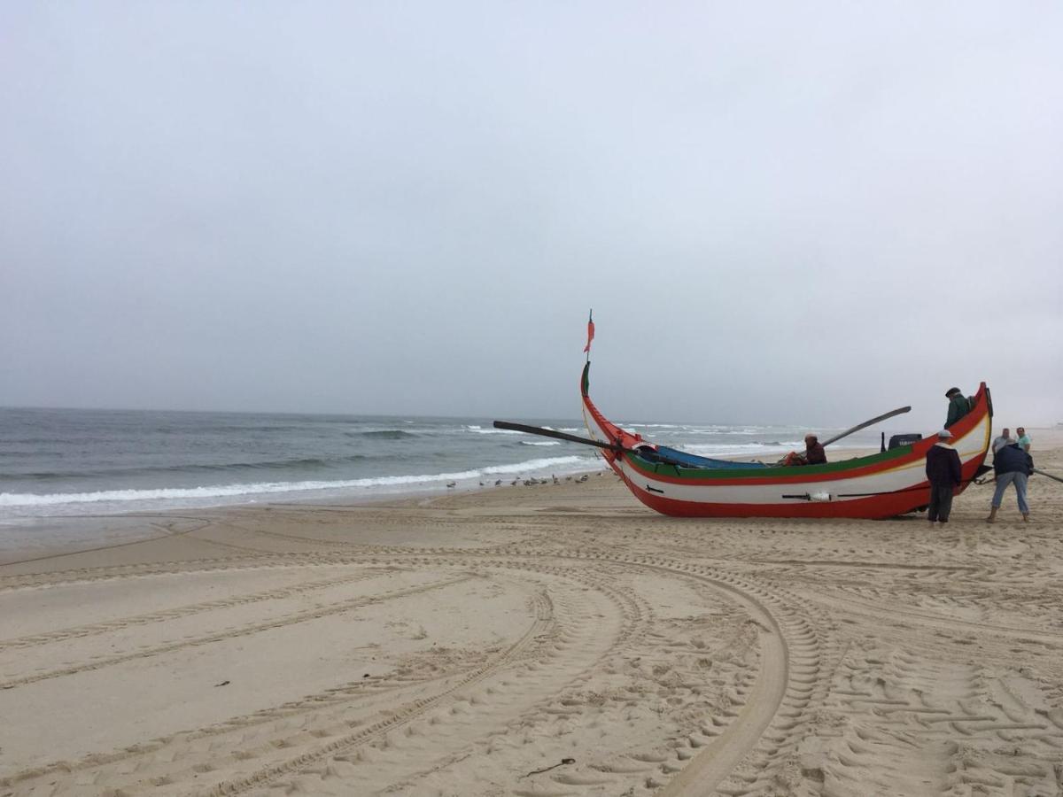 Moradia Proxima Da Praia Do Areinho, Na Ria, E Praia Dos Marretas Ovar Exteriér fotografie