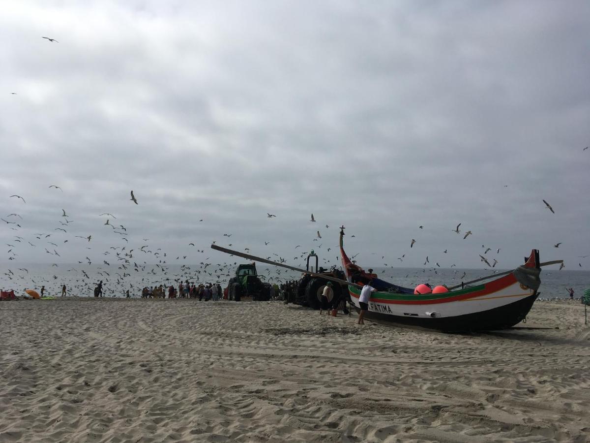 Moradia Proxima Da Praia Do Areinho, Na Ria, E Praia Dos Marretas Ovar Exteriér fotografie